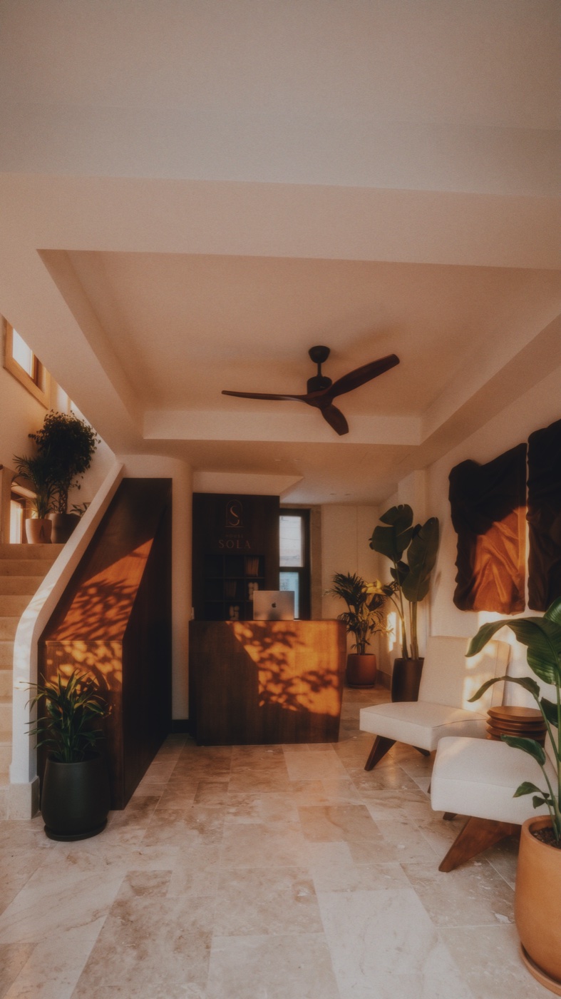 House Sola resepsiyon ve giriş alanı